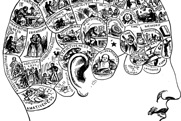 brain-1300479_1280
